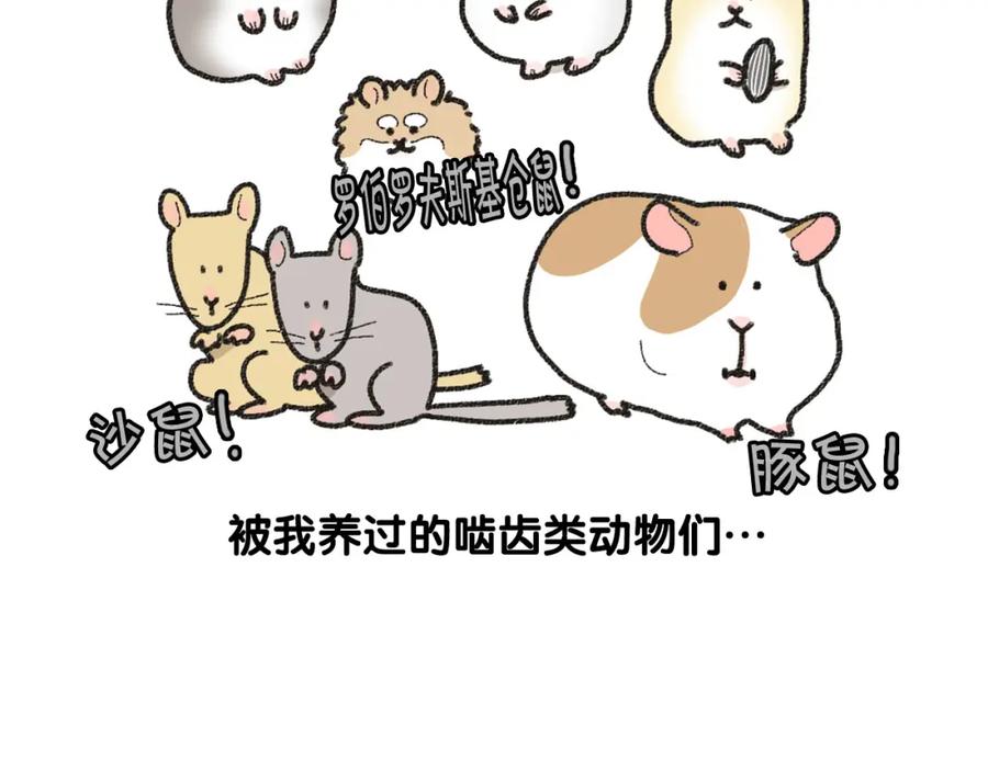 《我的狗子叫棉花》番外1 毛毛登场！ 第9页