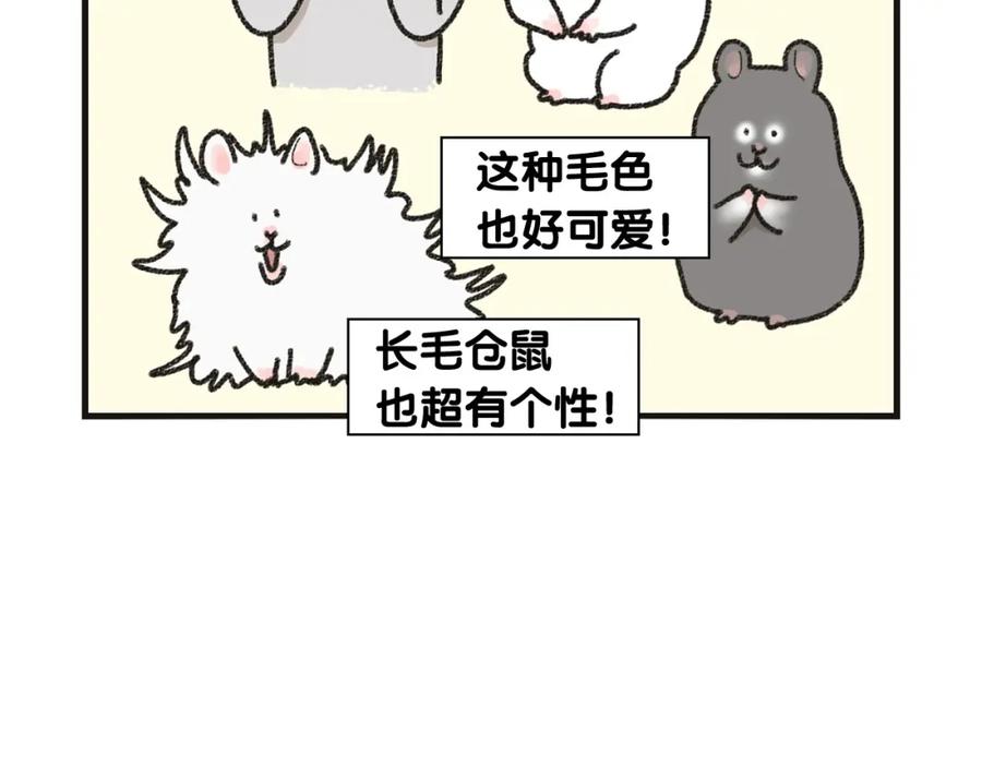 《我的狗子叫棉花》番外1 毛毛登场！ 第14页