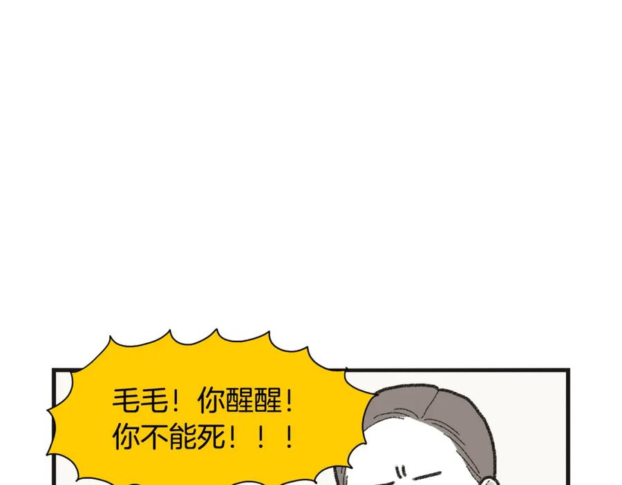 《我的狗子叫棉花》番外1 毛毛登场！ 第51页