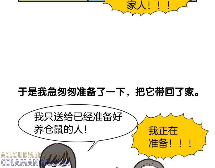 《我的狗子叫棉花》番外1 毛毛登场！ 第16页