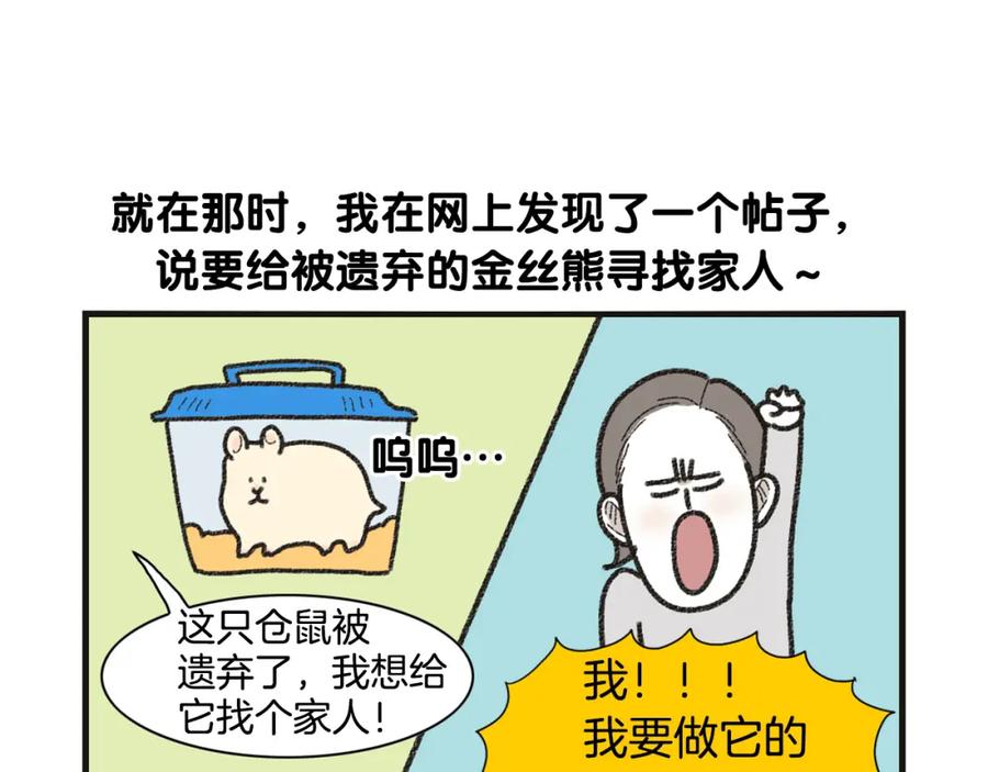 《我的狗子叫棉花》番外1 毛毛登场！ 第15页