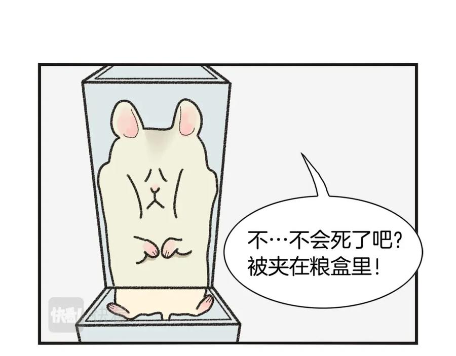 《我的狗子叫棉花》番外1 毛毛登场！ 第50页