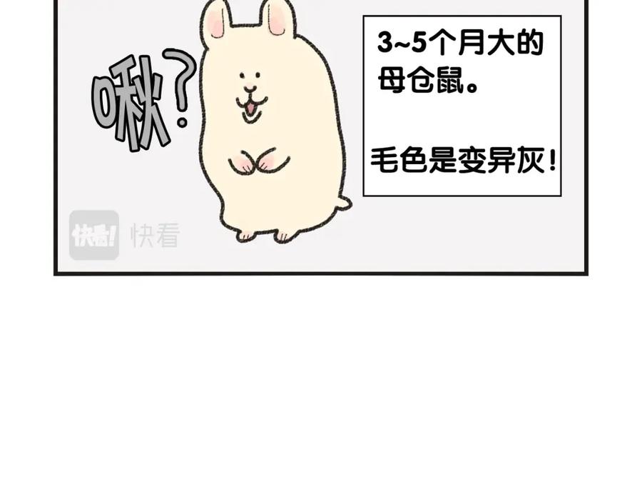 《我的狗子叫棉花》番外1 毛毛登场！ 第21页