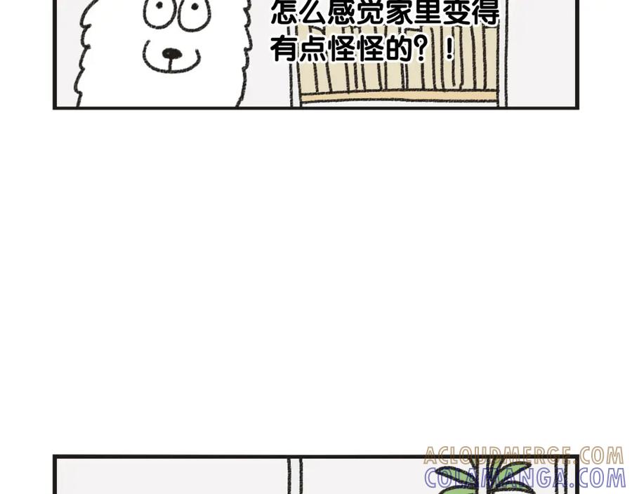 《我的狗子叫棉花》番外1 毛毛登场！ 第25页