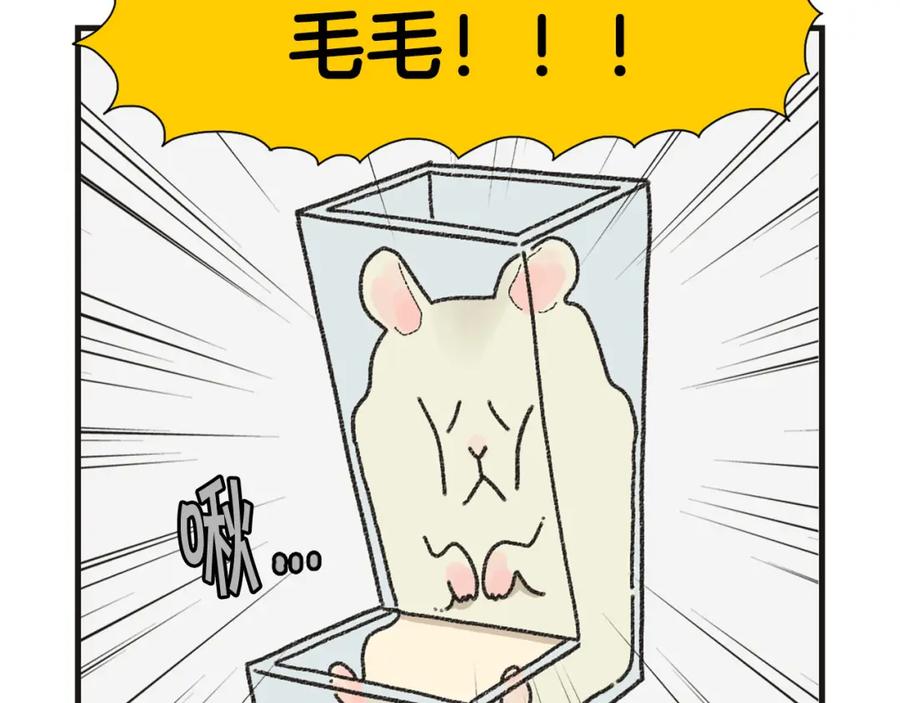 《我的狗子叫棉花》番外1 毛毛登场！ 第47页