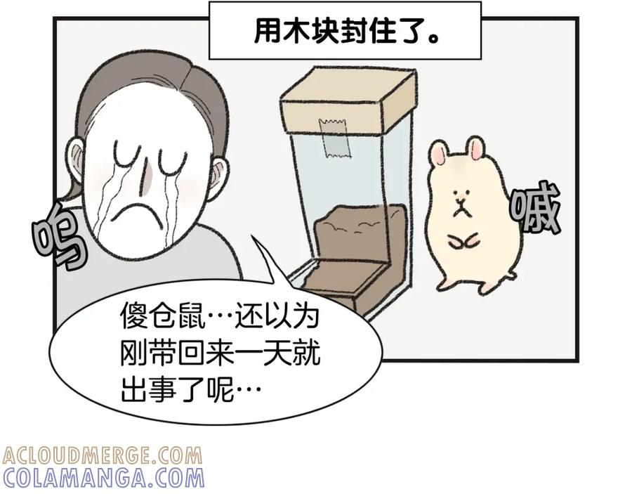 《我的狗子叫棉花》番外1 毛毛登场！ 第58页
