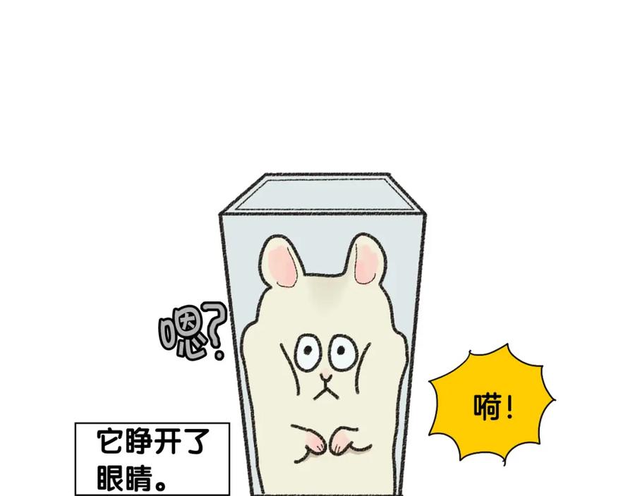 《我的狗子叫棉花》番外1 毛毛登场！ 第53页