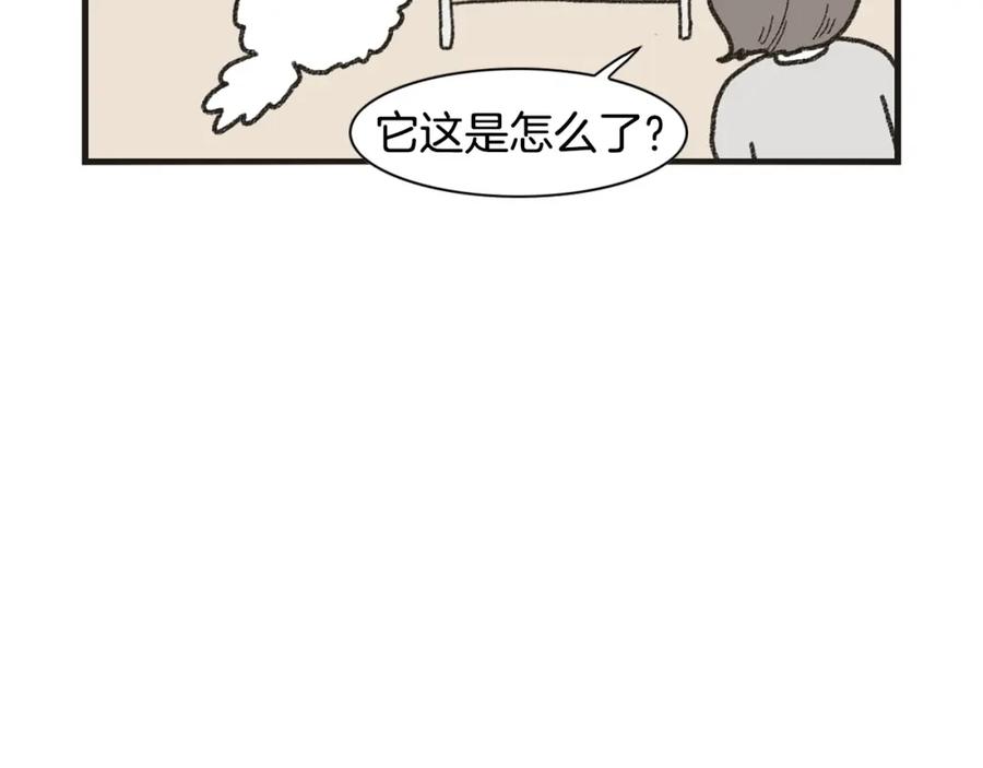 《我的狗子叫棉花》番外1 毛毛登场！ 第33页