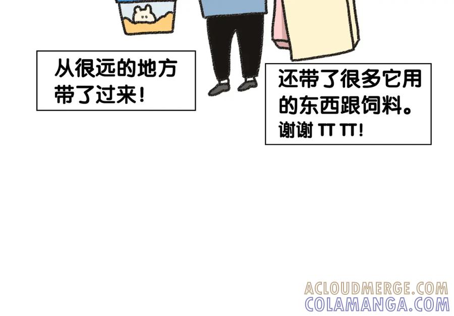 《我的狗子叫棉花》番外1 毛毛登场！ 第19页