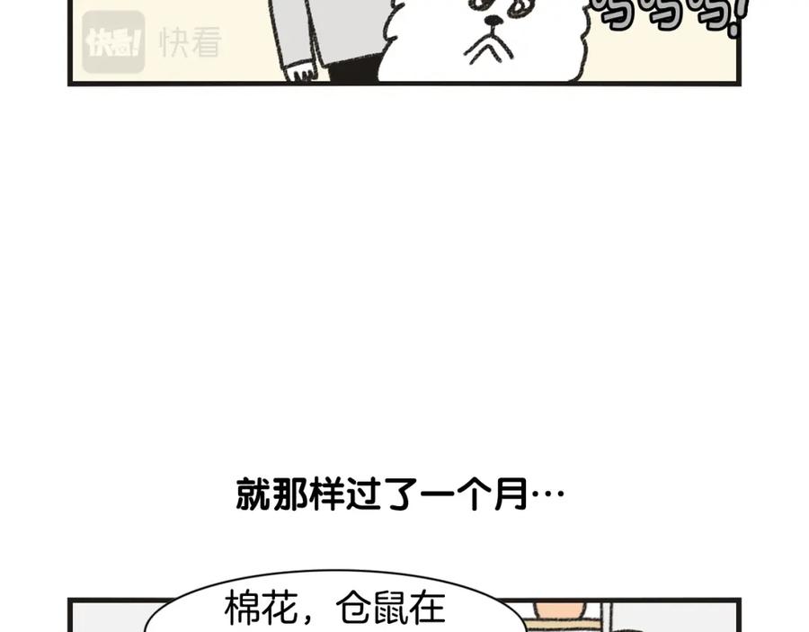 《我的狗子叫棉花》番外1 毛毛登场！ 第39页
