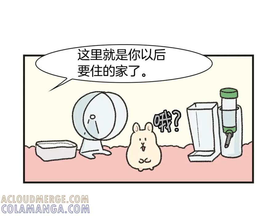 《我的狗子叫棉花》番外1 毛毛登场！ 第22页