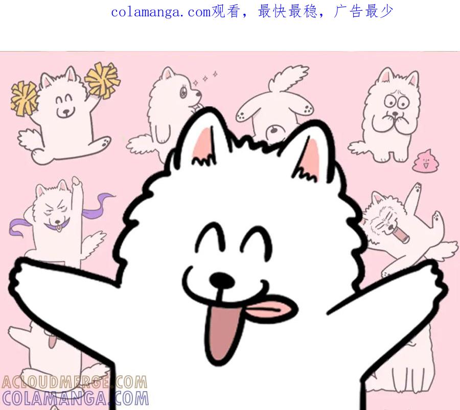 《我的狗子叫棉花》番外1 毛毛登场！ 第1页