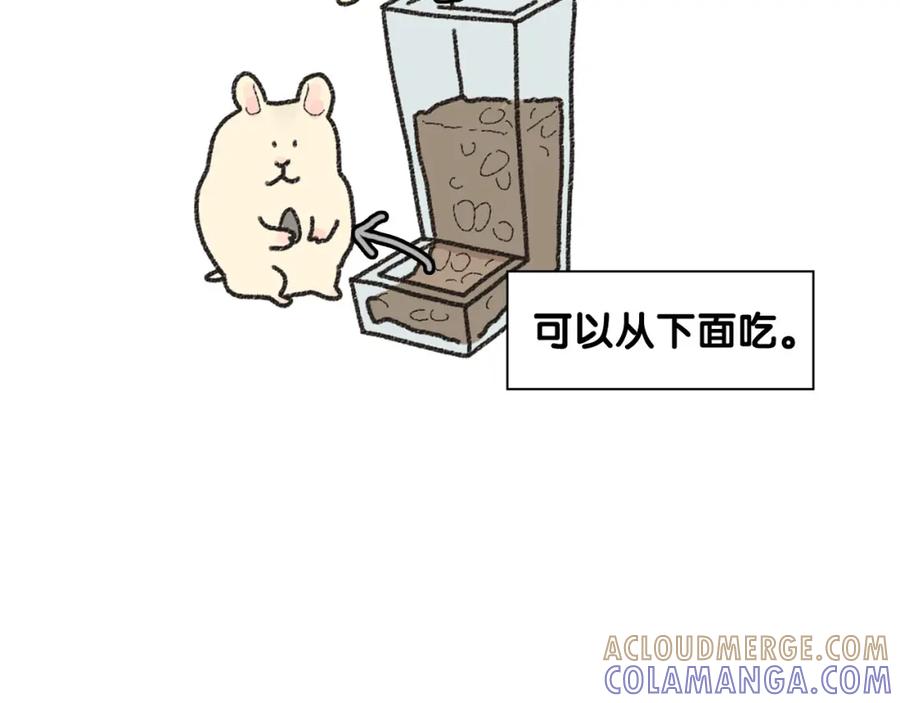 《我的狗子叫棉花》番外1 毛毛登场！ 第49页