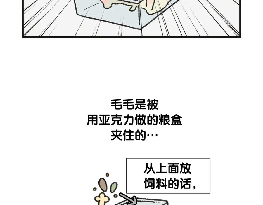 《我的狗子叫棉花》番外1 毛毛登场！ 第48页