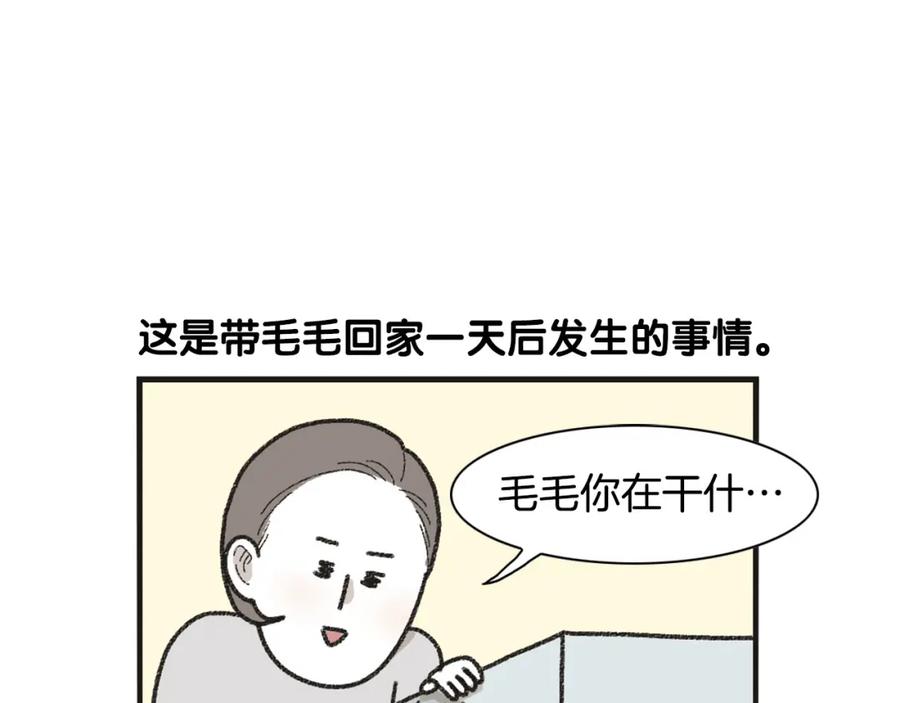 《我的狗子叫棉花》番外1 毛毛登场！ 第44页
