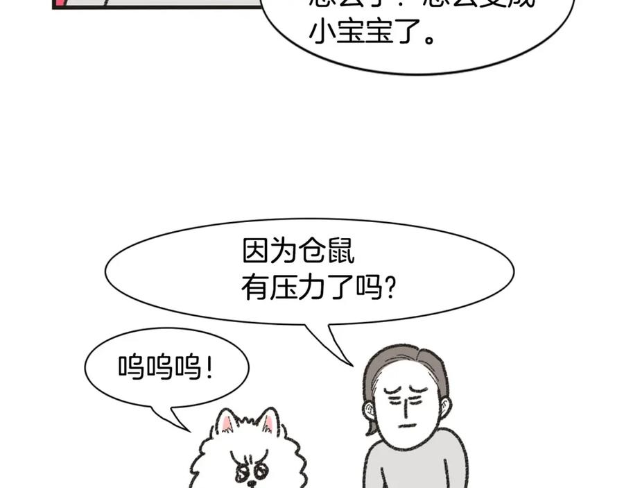 《我的狗子叫棉花》番外1 毛毛登场！ 第35页