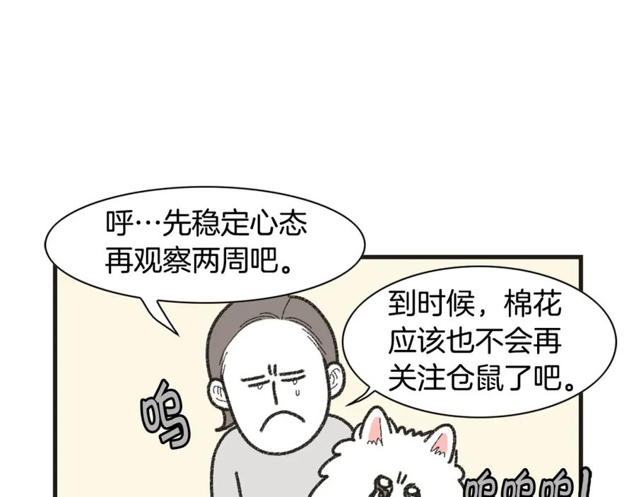 《我的狗子叫棉花》番外1 毛毛登场！ 第38页