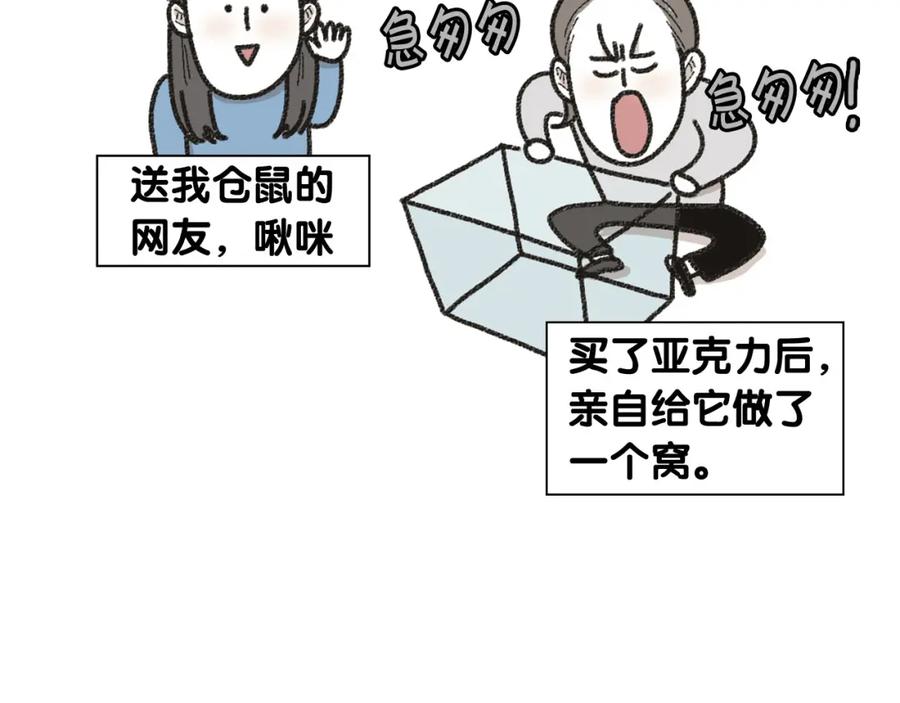 《我的狗子叫棉花》番外1 毛毛登场！ 第17页