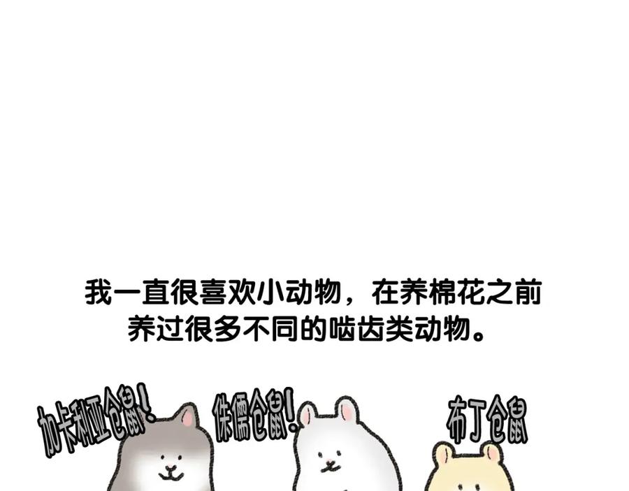 《我的狗子叫棉花》番外1 毛毛登场！ 第8页
