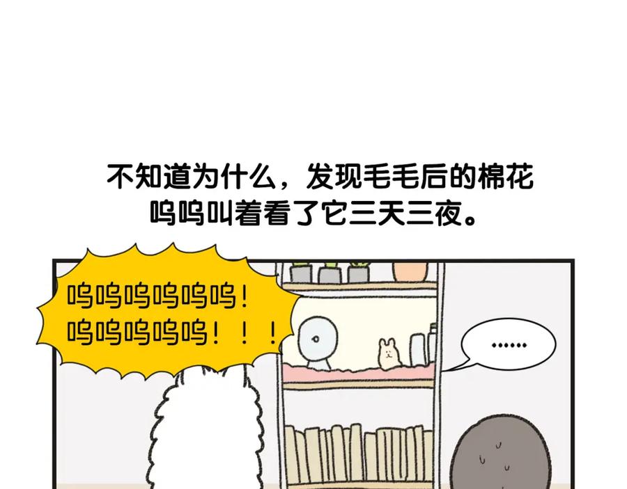《我的狗子叫棉花》番外1 毛毛登场！ 第32页