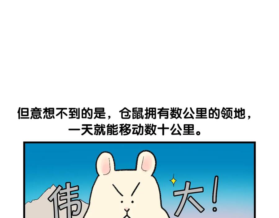 《我的狗子叫棉花》番外2 嘴容量 第45页