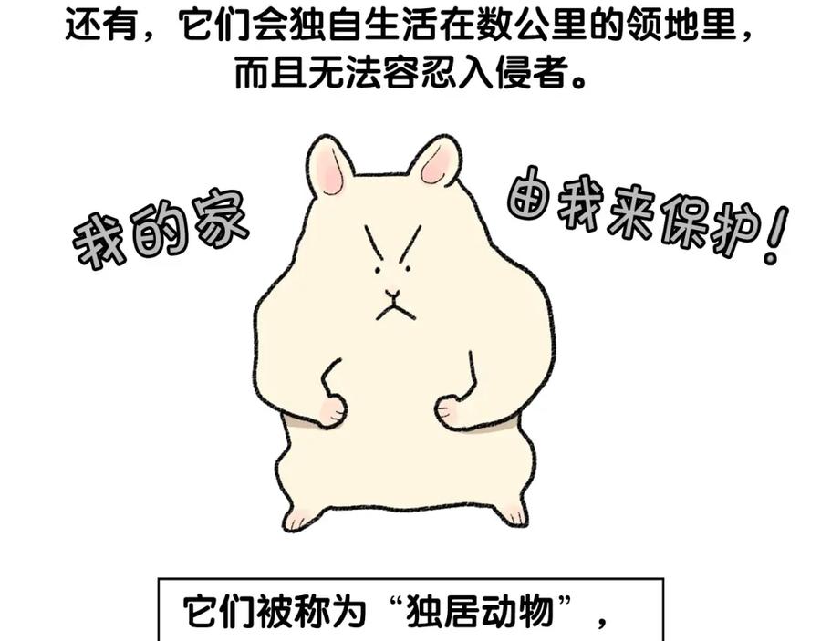 《我的狗子叫棉花》番外2 嘴容量 第47页