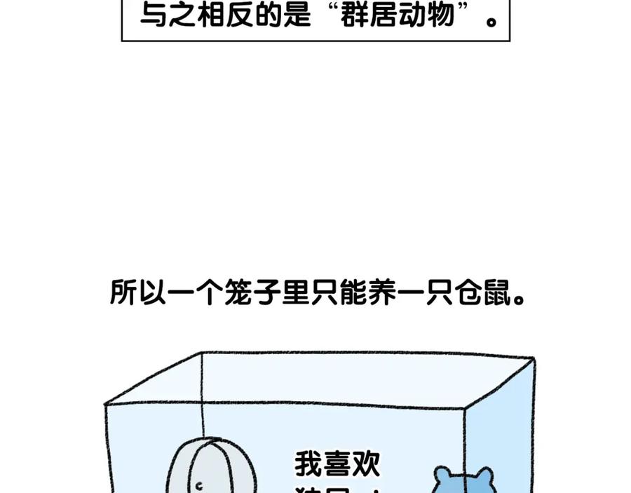 《我的狗子叫棉花》番外2 嘴容量 第48页