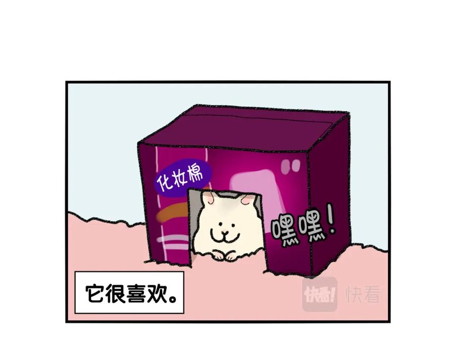 《我的狗子叫棉花》番外2 嘴容量 第41页
