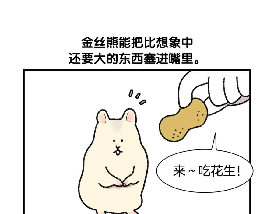 《我的狗子叫棉花》番外2 嘴容量 第5页