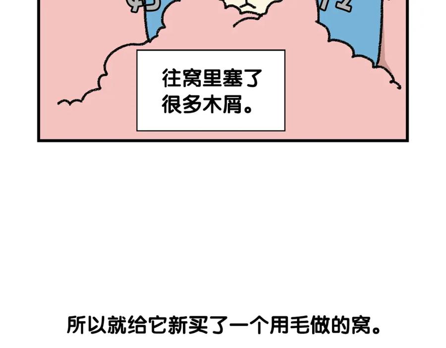 《我的狗子叫棉花》番外2 嘴容量 第35页