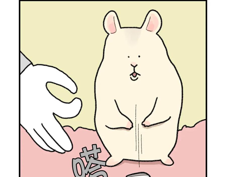 《我的狗子叫棉花》番外2 嘴容量 第24页