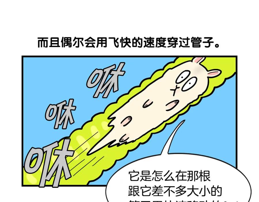 《我的狗子叫棉花》番外3 好奇心 第26页