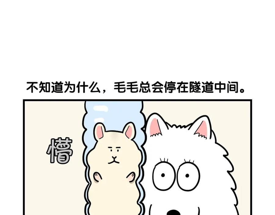 《我的狗子叫棉花》番外3 好奇心 第50页