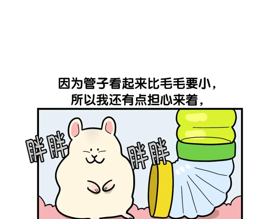 《我的狗子叫棉花》番外3 好奇心 第20页