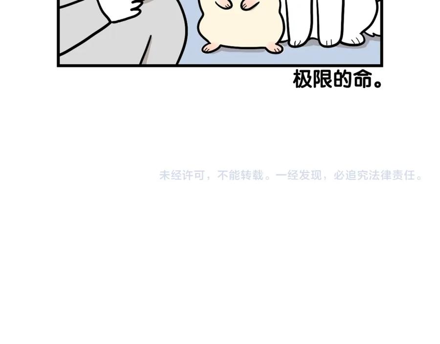 《我的狗子叫棉花》番外3 好奇心 第66页