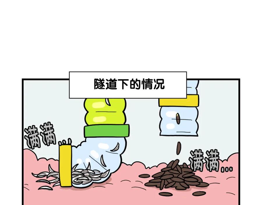 《我的狗子叫棉花》番外3 好奇心 第62页