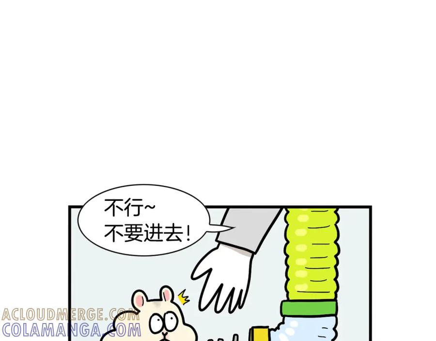 《我的狗子叫棉花》番外3 好奇心 第37页