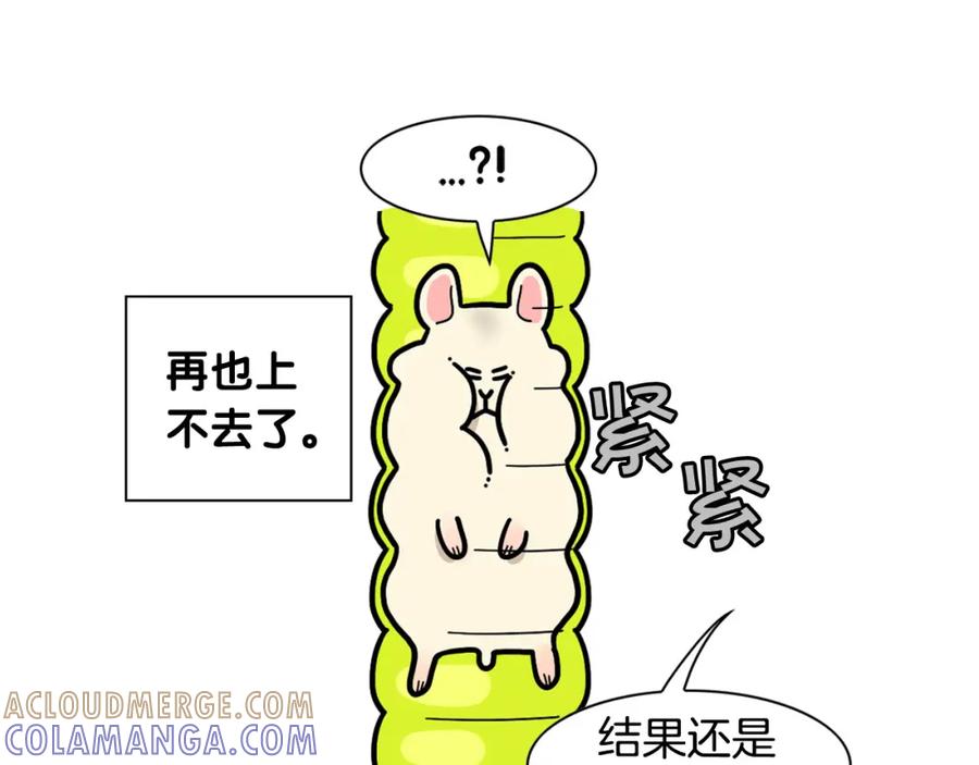 《我的狗子叫棉花》番外3 好奇心 第40页