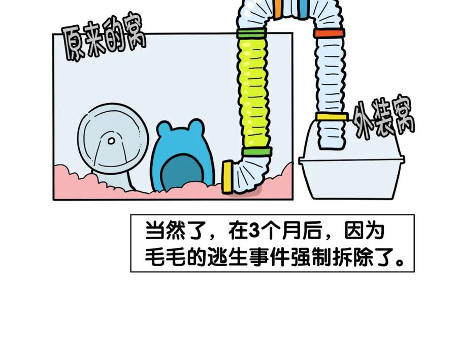 《我的狗子叫棉花》番外3 好奇心 第11页
