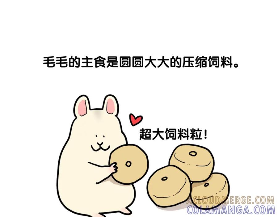 《我的狗子叫棉花》番外3 好奇心 第31页