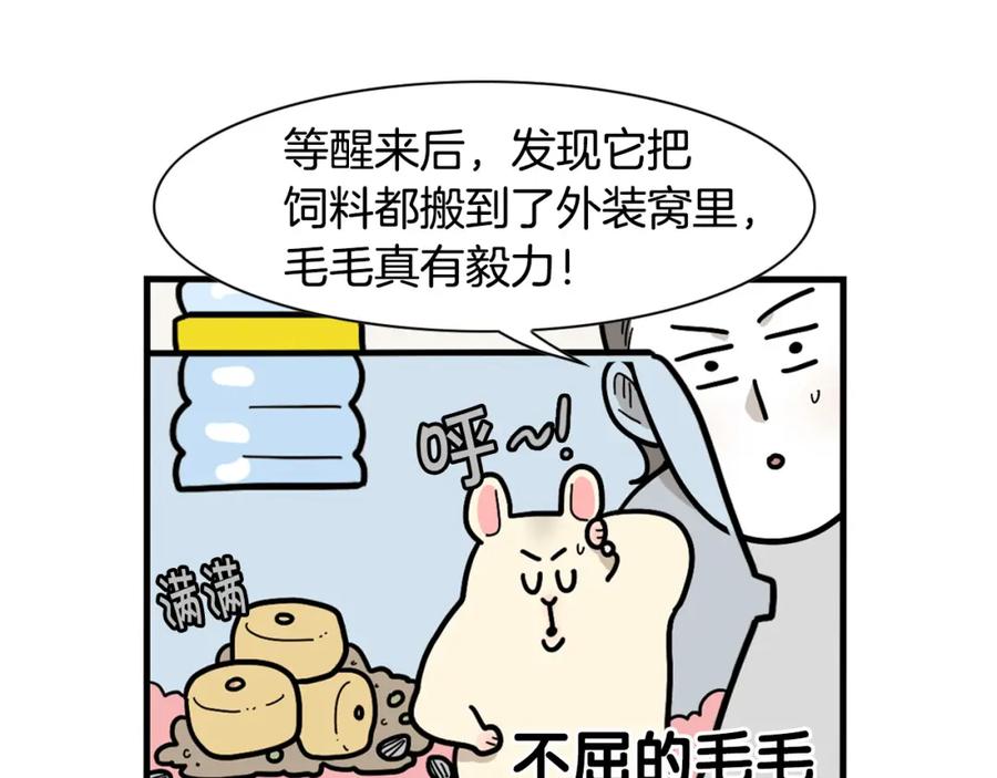 《我的狗子叫棉花》番外3 好奇心 第48页