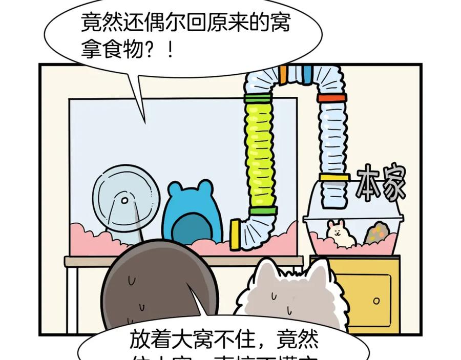 《我的狗子叫棉花》番外3 好奇心 第18页
