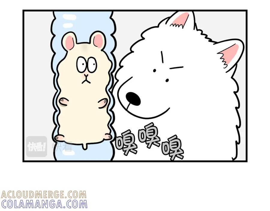 《我的狗子叫棉花》番外3 好奇心 第52页
