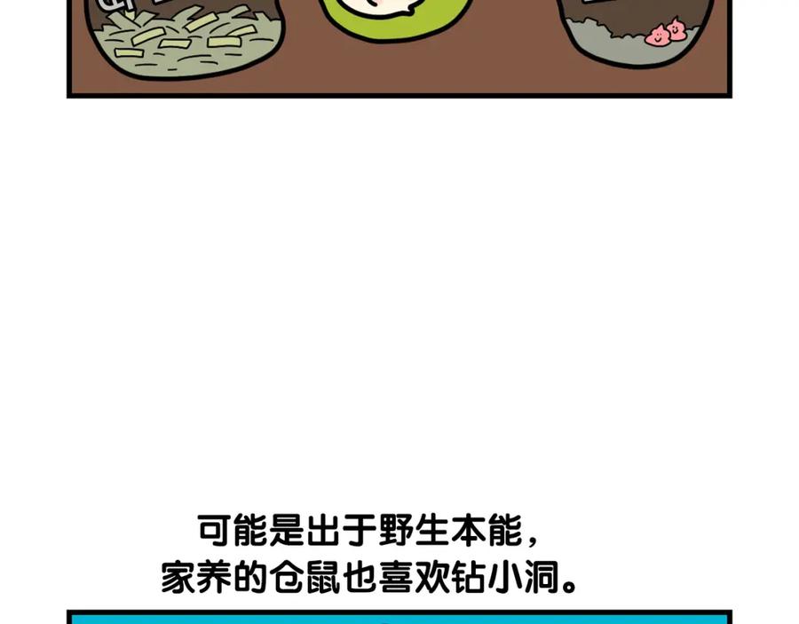 《我的狗子叫棉花》番外3 好奇心 第6页