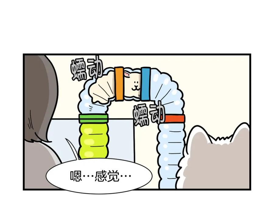 《我的狗子叫棉花》番外3 好奇心 第23页
