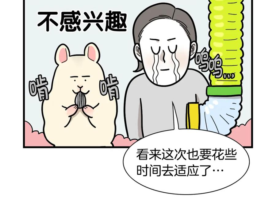 《我的狗子叫棉花》番外3 好奇心 第14页