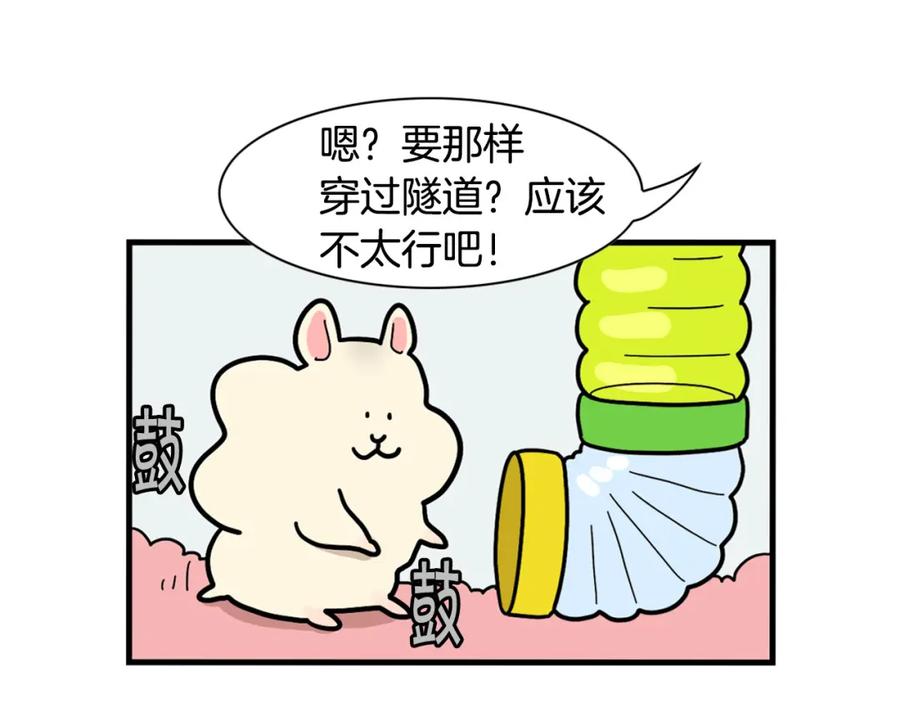 《我的狗子叫棉花》番外3 好奇心 第36页