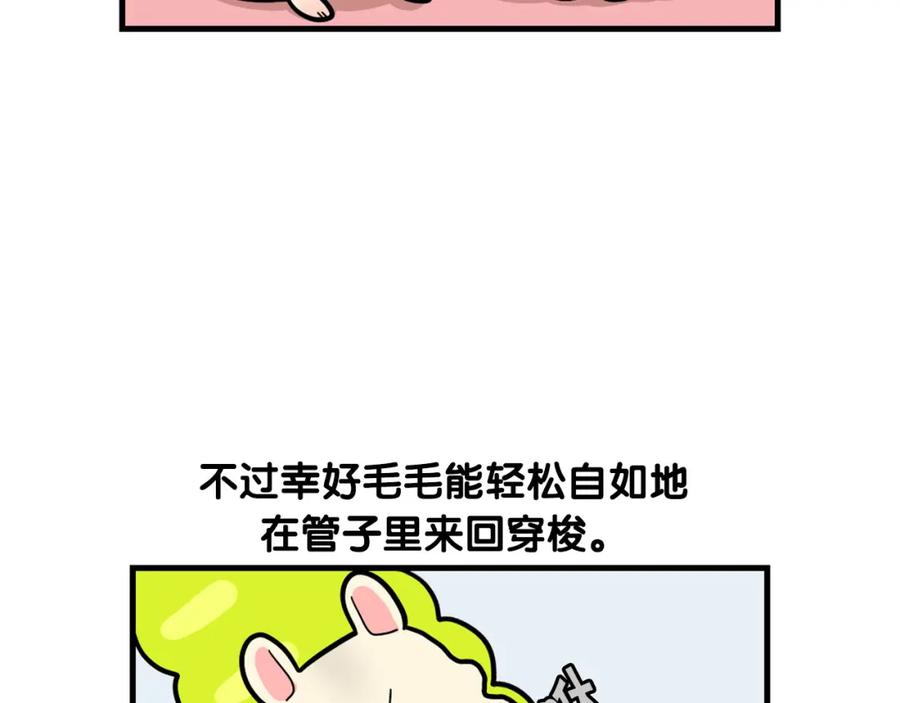《我的狗子叫棉花》番外3 好奇心 第21页