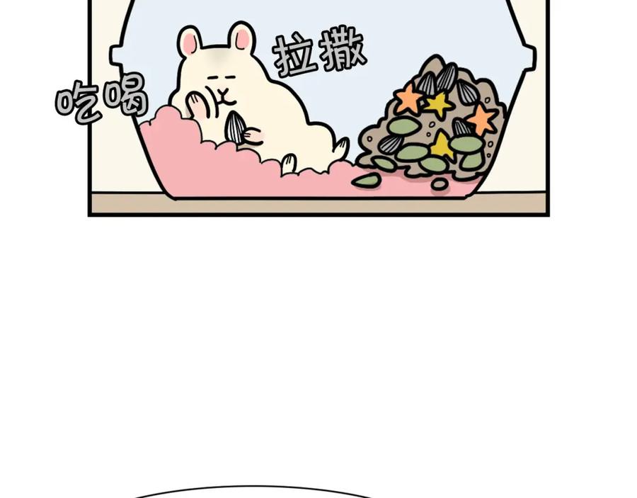 《我的狗子叫棉花》番外3 好奇心 第17页