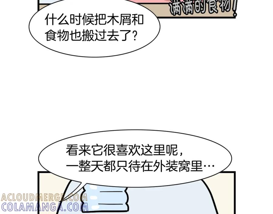 《我的狗子叫棉花》番外3 好奇心 第16页